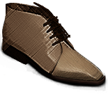 Boot Shoes